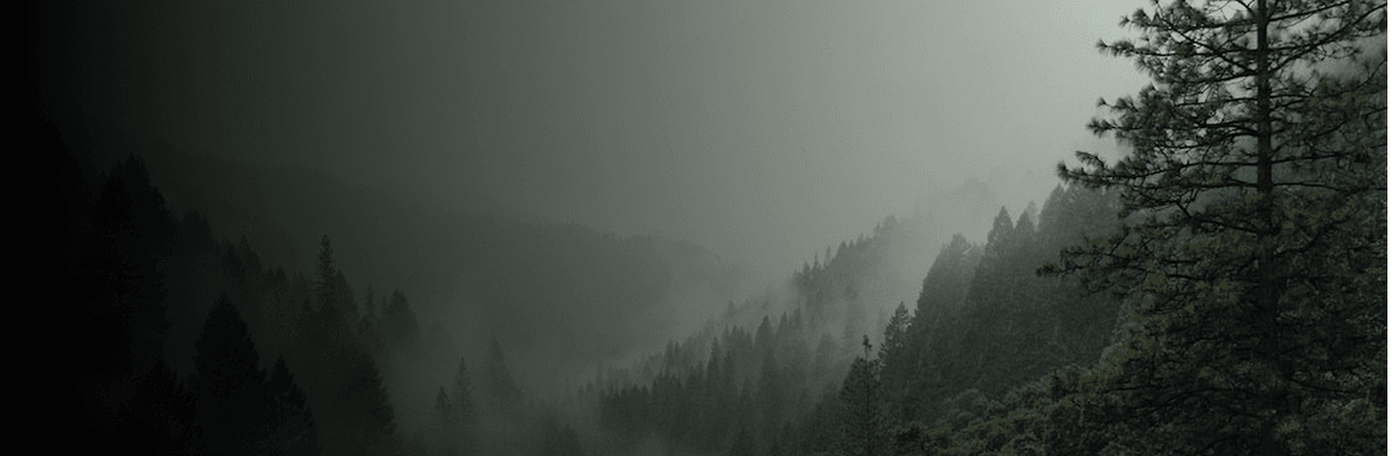 No alternative text provided